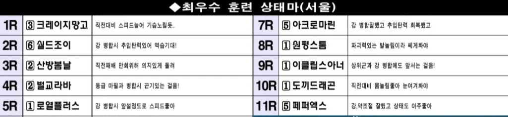 "3월 16일 일요일 서울 조교상태 양호마"