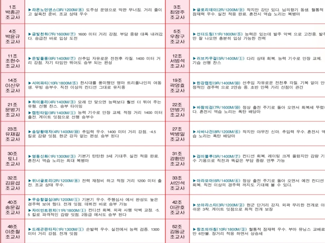 "5월4일 일요서울 조교사 인터뷰"