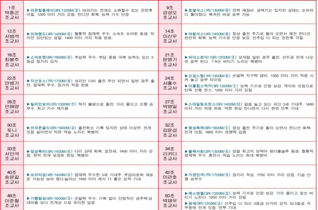 "5월 10일 토요서울 조교사 인터뷰"