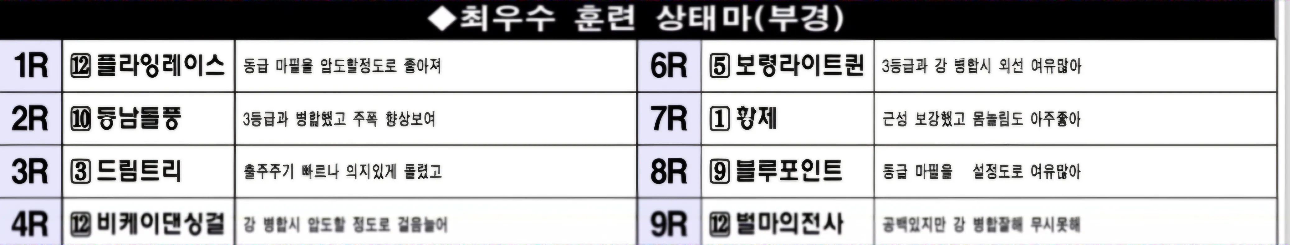 "2월 21일 금요부산 조교상태 양호마"