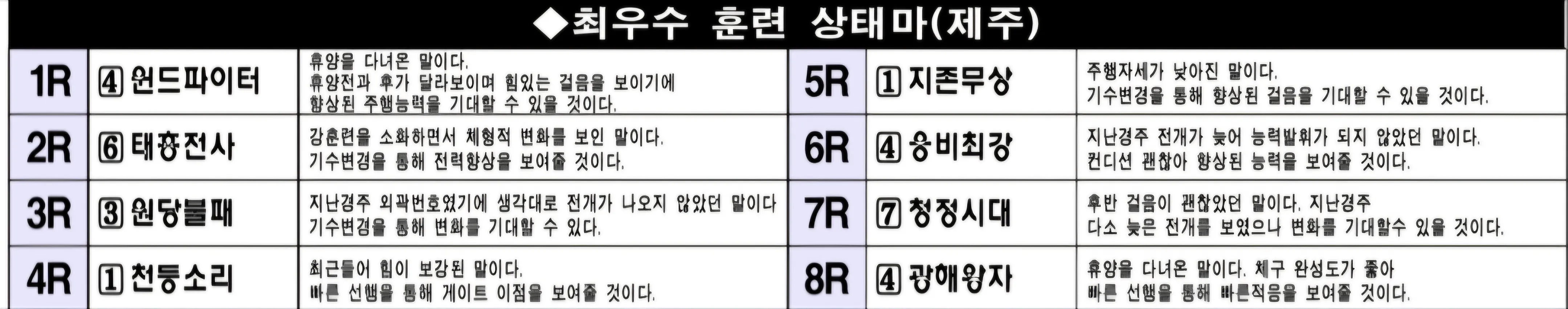 "6월 6일 금요제주 조교상태 양호마"