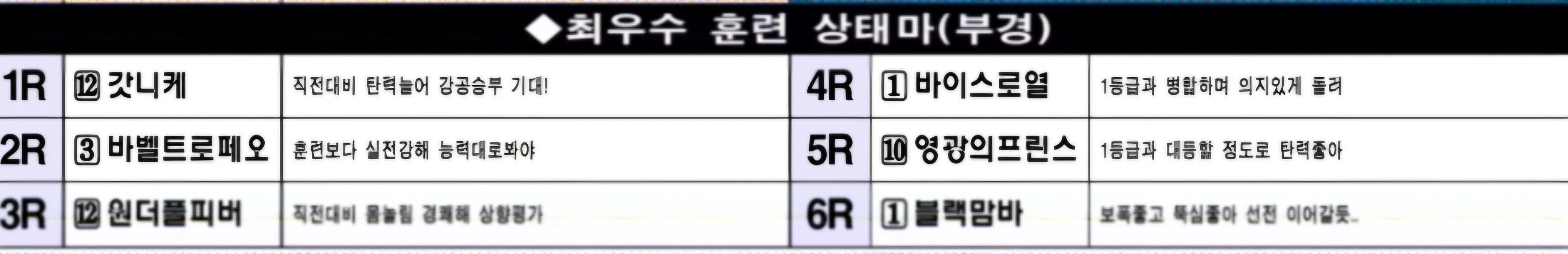 "3월9일 일요일 부산 조교 상태 양호마"