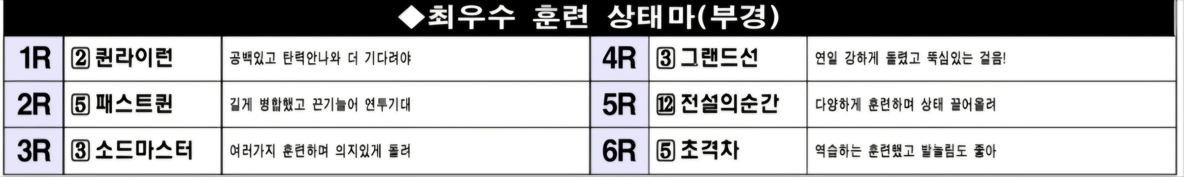 "2월 23일 일요부산 조교상태 양호마"