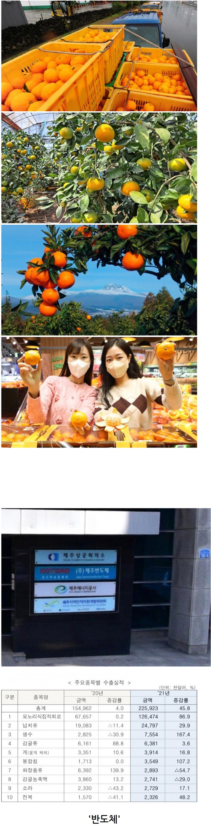 제주도 전체 수출품목 1위 ㄷㄷㄷ 정보