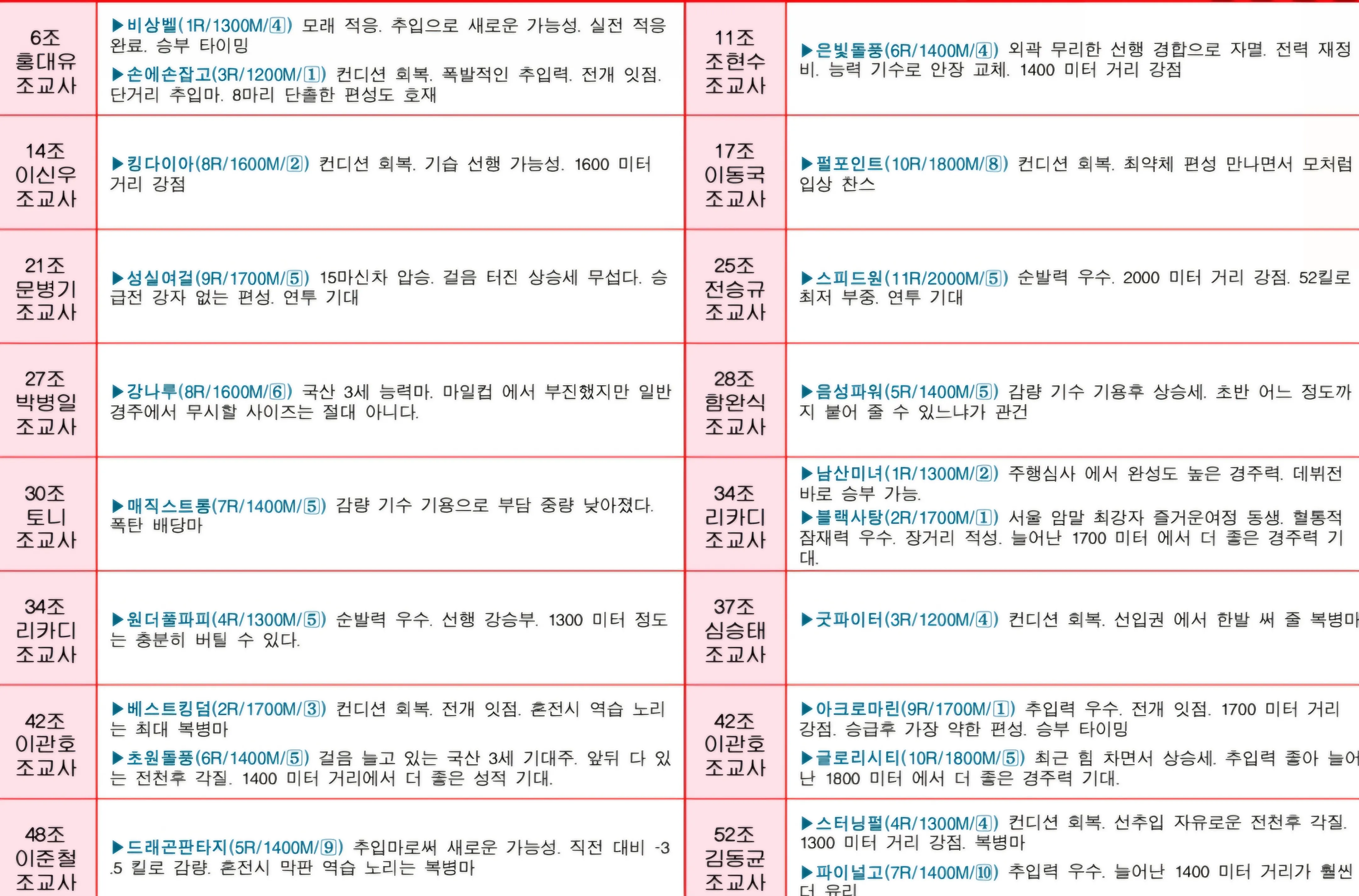 "6월1일 일요서울 조교사 인터뷰"