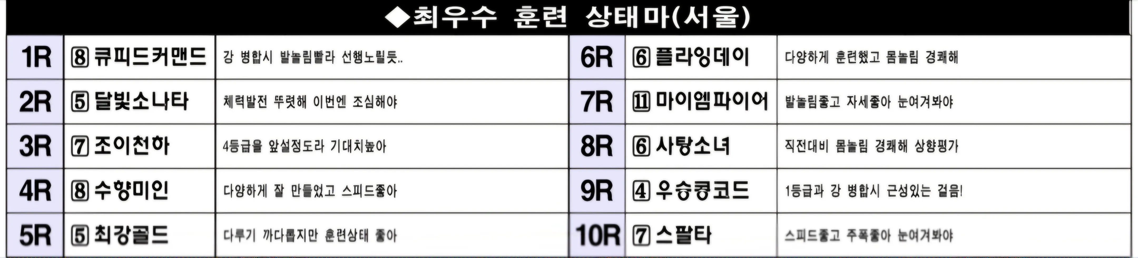 "5월 31일 토요서울 조교상태 양호마"