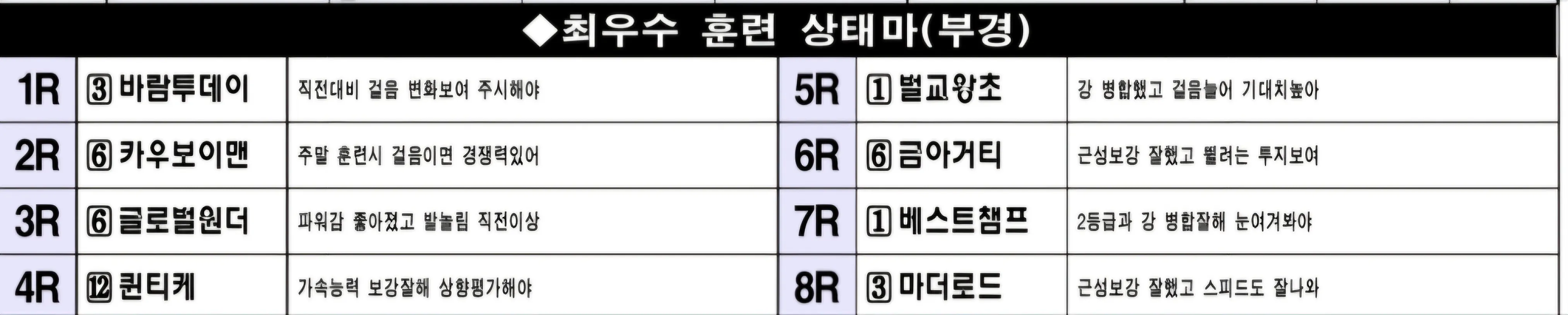 "2월 28일 금요일 부산 조교상태 양호마"