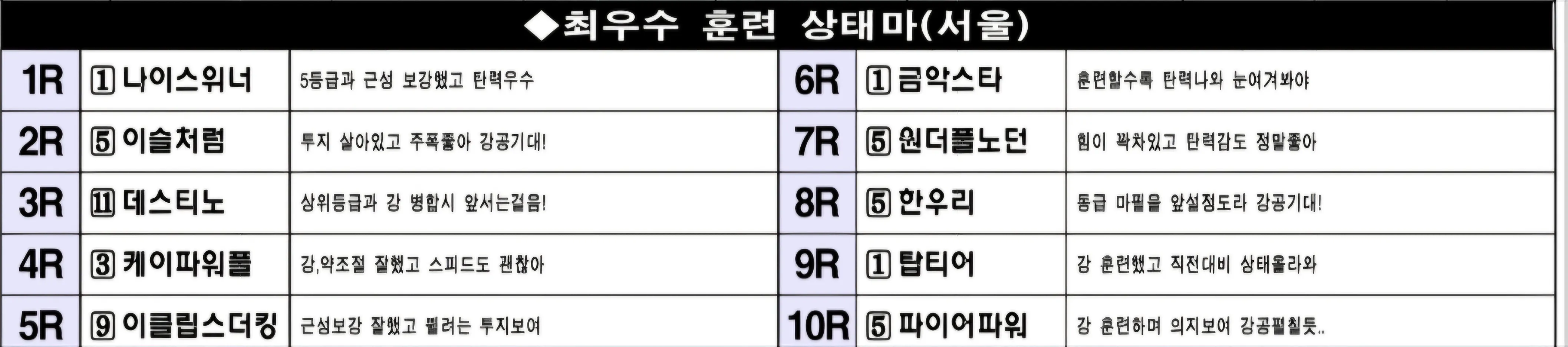 "3월 9일 토요일 서울 조교상태 양호마