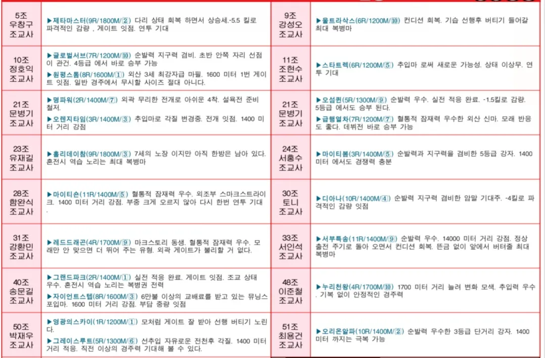 "5월25일 일요서울 조교사 인터뷰"