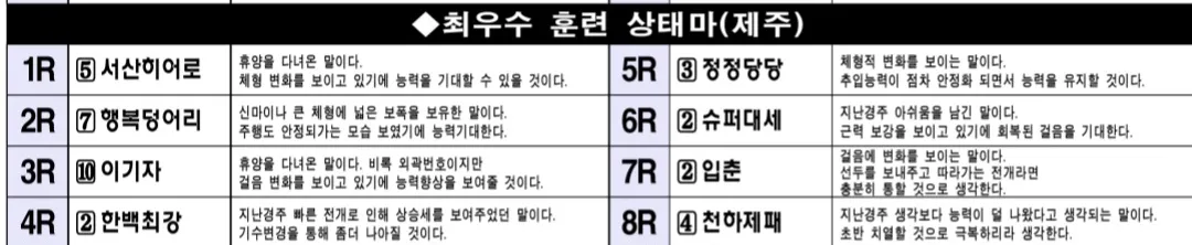 7월 4일 금요제주 조교상태 양호마"