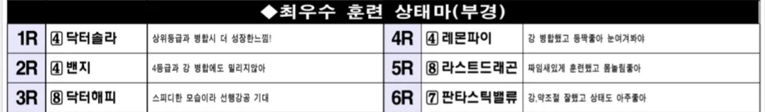 "5월4일 일요부산 조교상태 양호마"