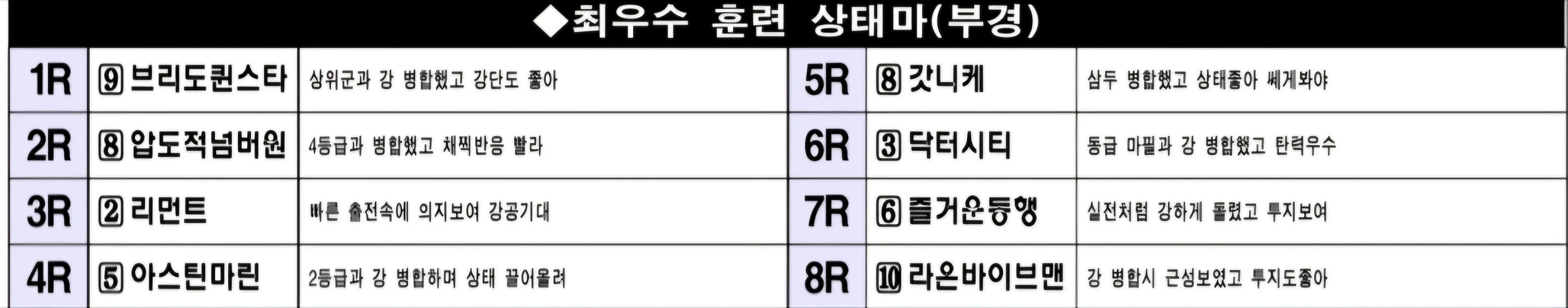 "6월 6일 금요부산 조교상태 양호마"