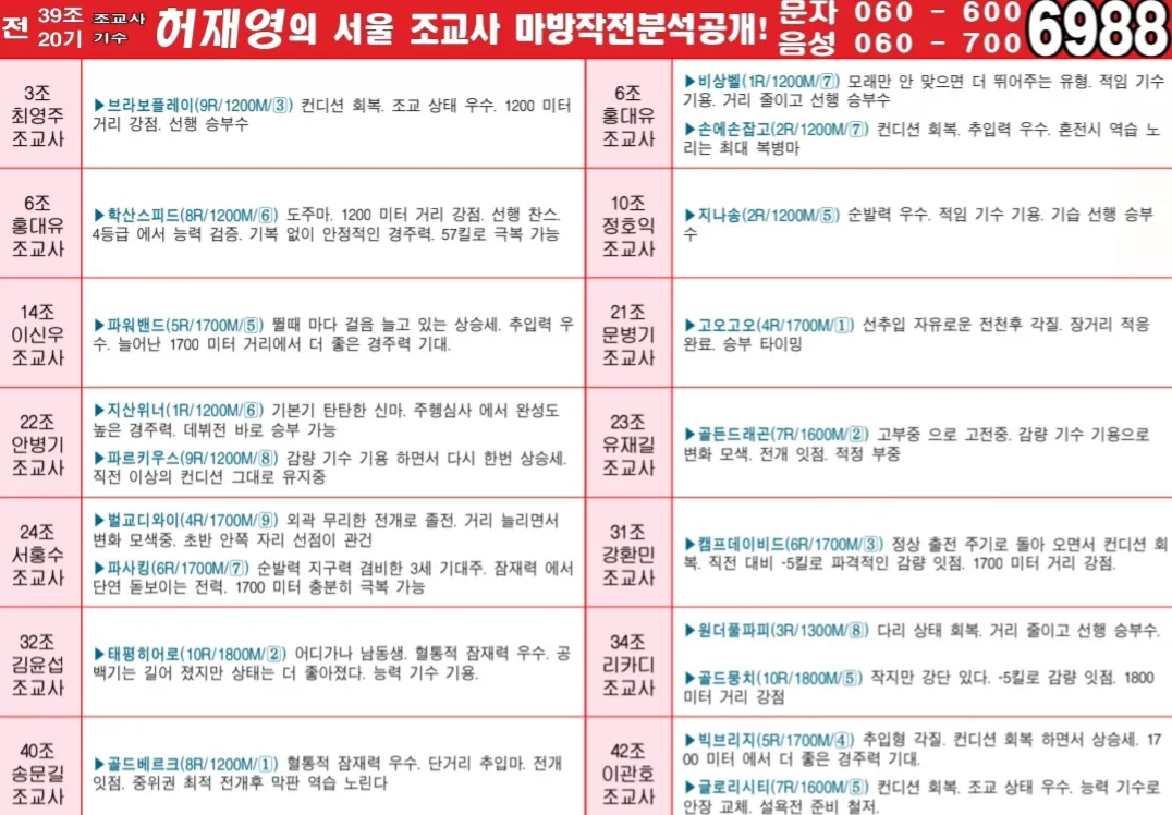 "5월 3일 토요서울 조교사 인터뷰"