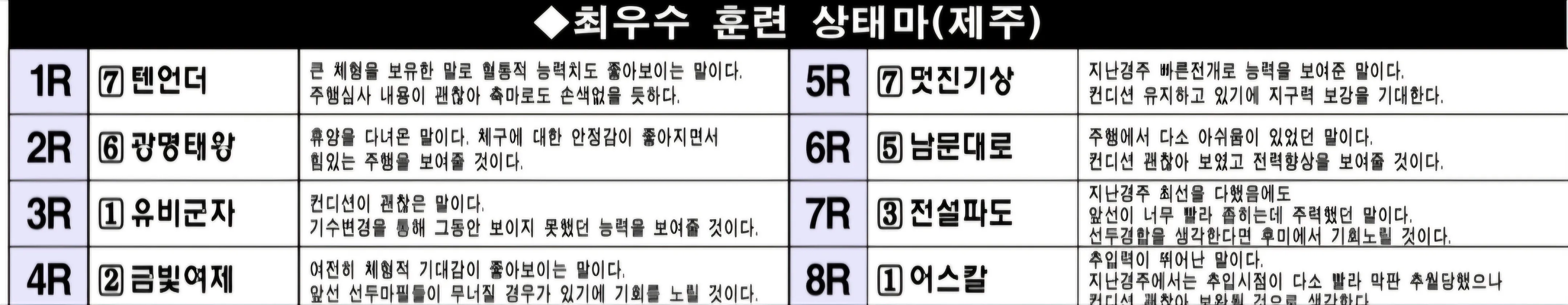 "6월 13일 금요제주 조교상태 양호마"
