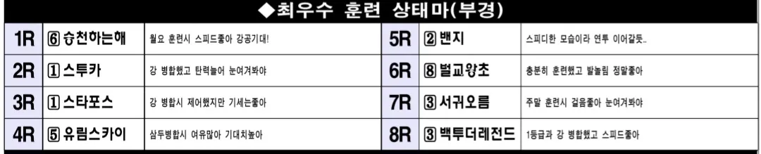 6월27일 금요부산 조교상태 양호마