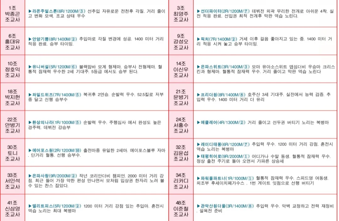 7월 12일 토요서울 조교사 인터뷰