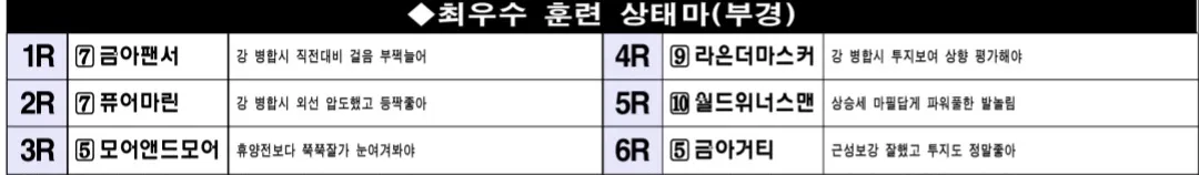 "5월 11일 일요부산 조교상태 양호마"