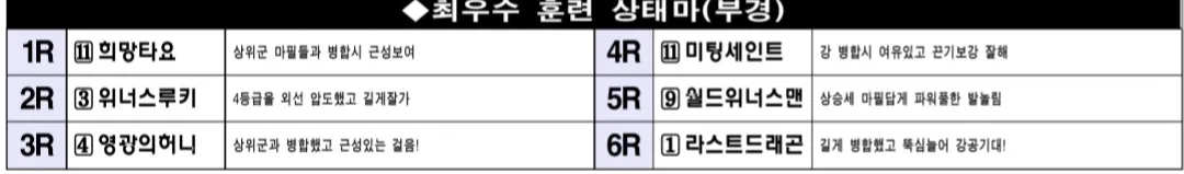 6월 22일 일요부산 조교상태 양호마