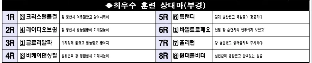 "7월 11일 금요부산 조교 상태 양호마"