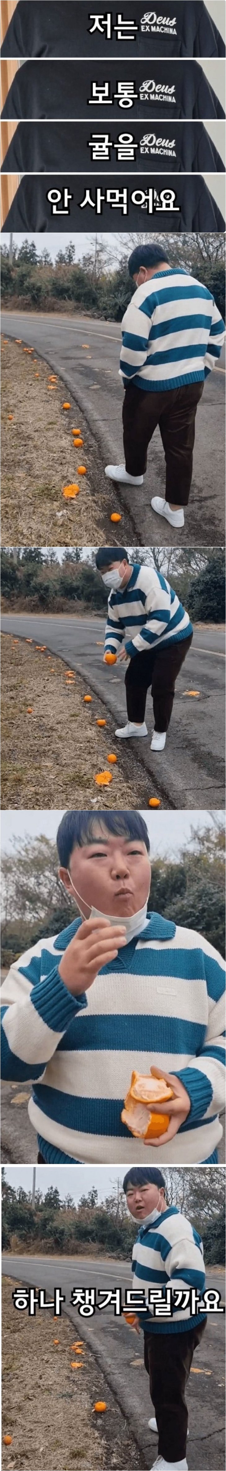 제주도민이 귤을 사먹는다는 의미.jpg 정보