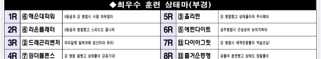 "5월 16일 금요부산 조교상태 양호마"