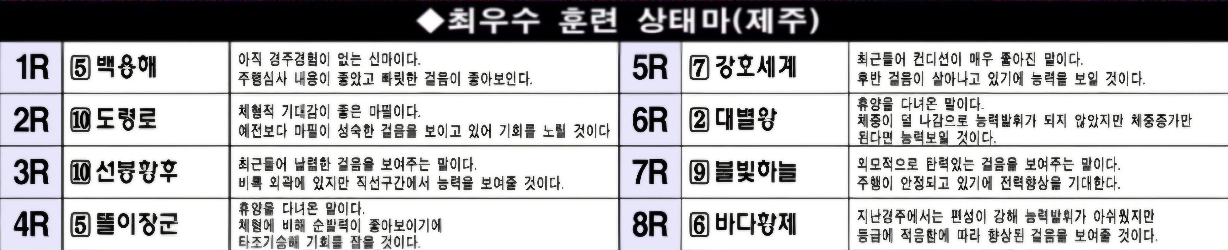 "2월28일 금요일 제주 조교 상태양호마"