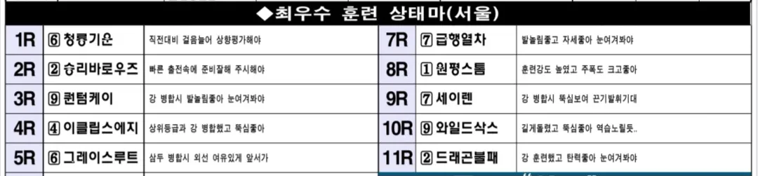 "5월 25일 일요서울 조교상태 양호마"