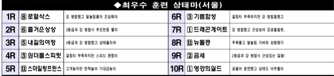 "5월10일 토요서울 조교상태 양호마 "