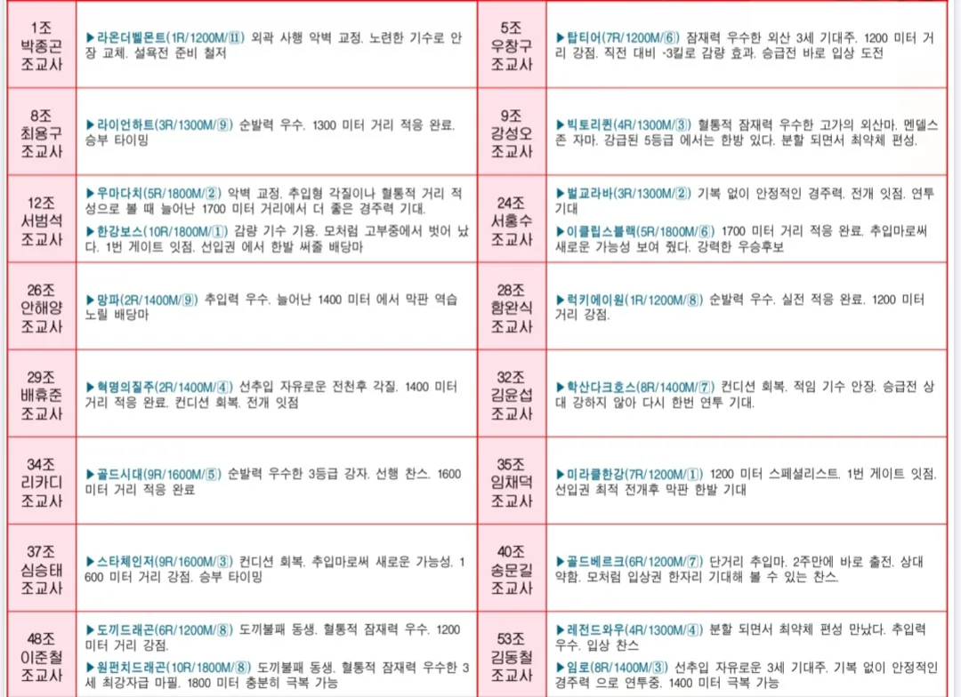"5월 17일 토요서울 조교사 인터뷰"