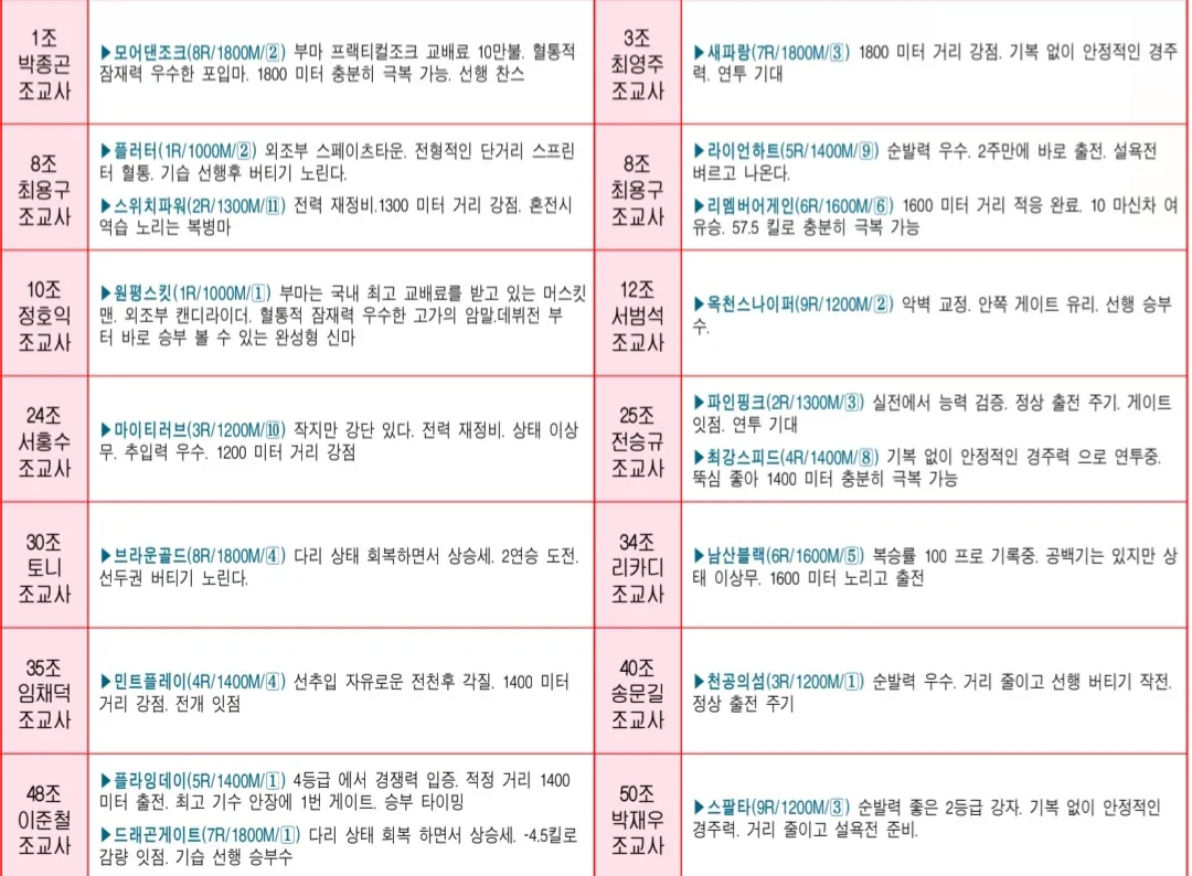 7월 5일 토요서울 조교사 인터뷰