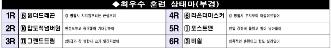 7월 6일 일요부산 조교상태 양호마