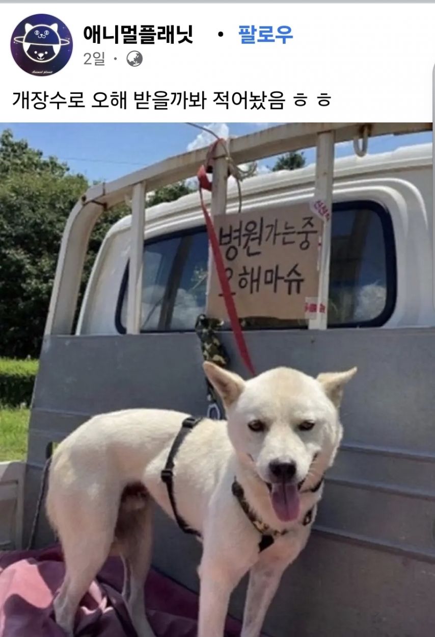 저 개장수 아닙니다 정보