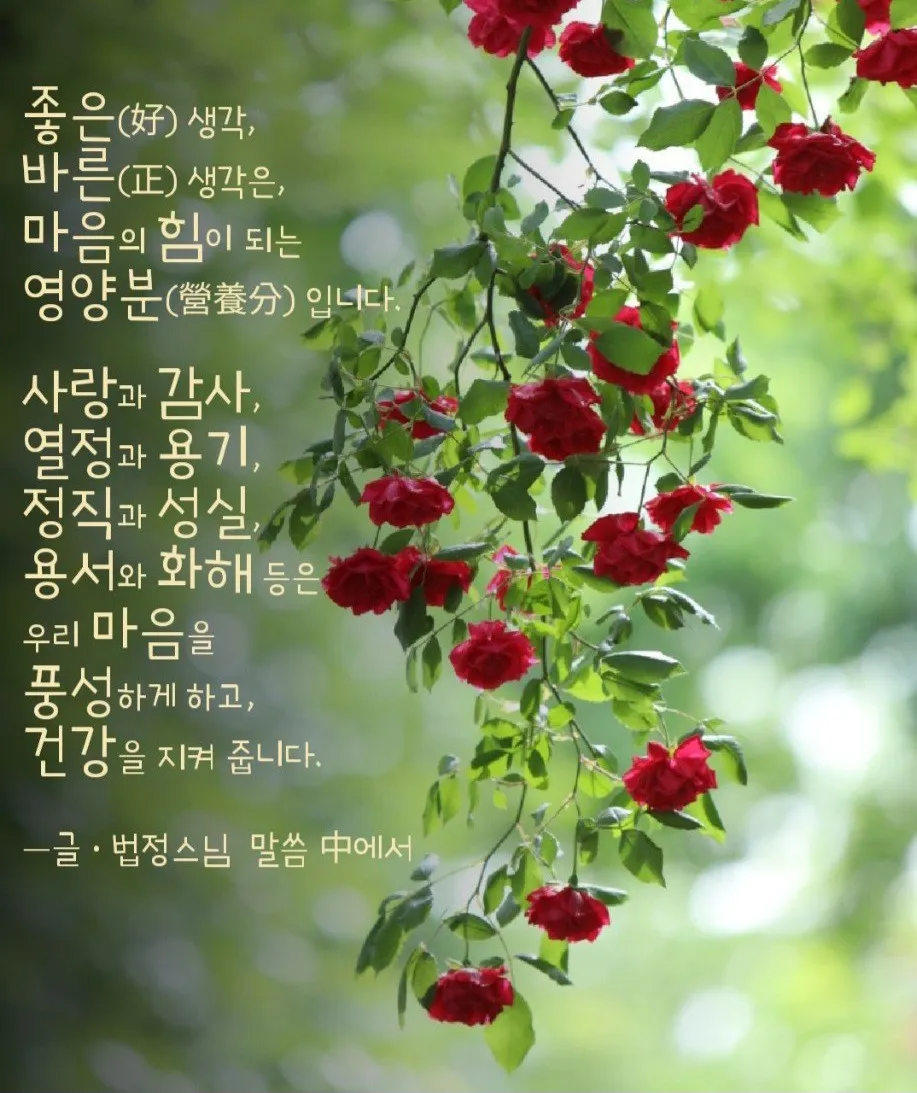 법정 스님 ~~