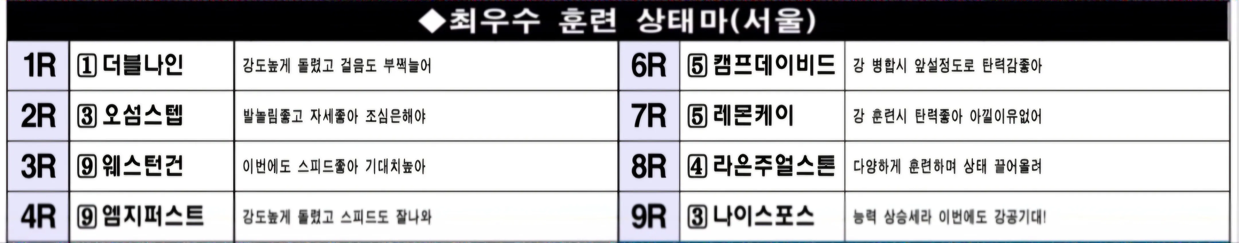 "6월 7일 토요서울 조교상태 양호마"