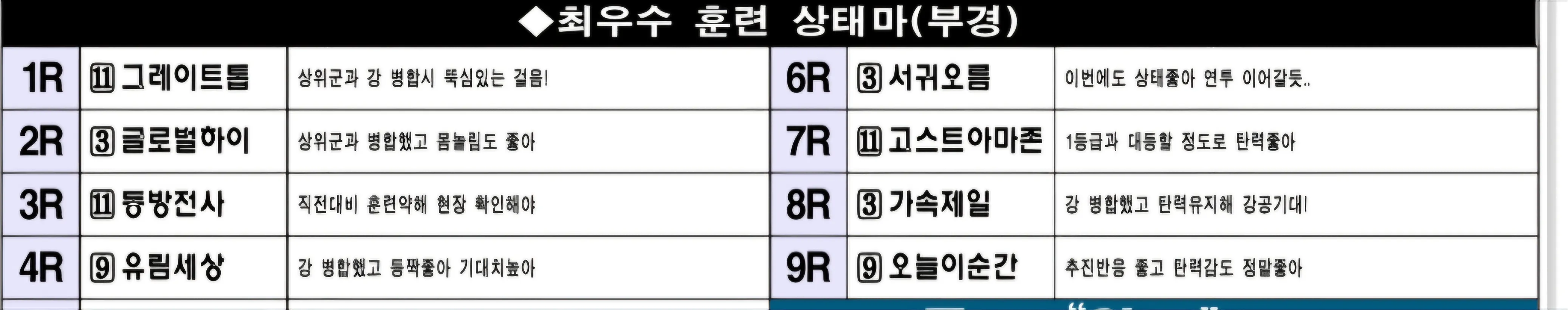 "2월14일 금요일 부산 조교상태 양호마"