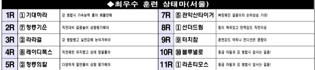 6월 22일 일요서울 조교상태 양호마