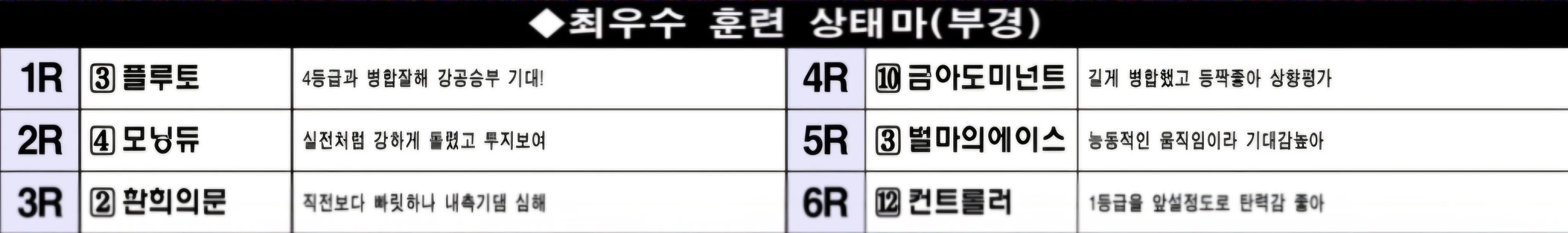 "3월2일 일요일 부산 조교상태 양호마"