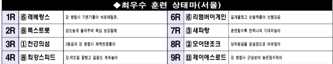 7월 5일 토요서울 조교상태 양호마