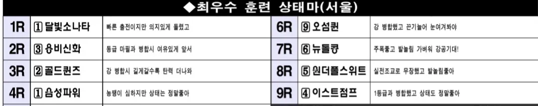 7월 19일 토요서울 조교상태 양호마