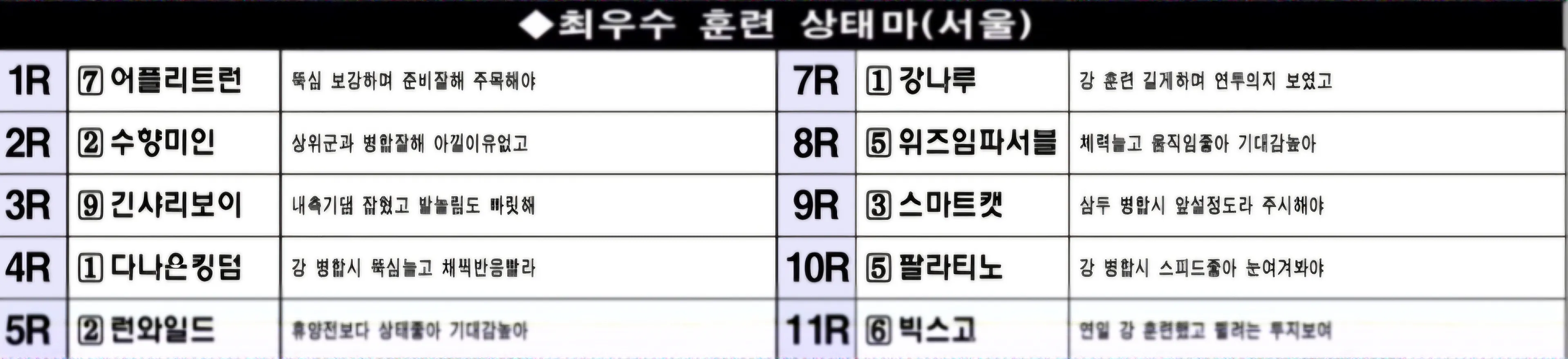 "3월9일 일요일 서울 조교 상태 양호마"