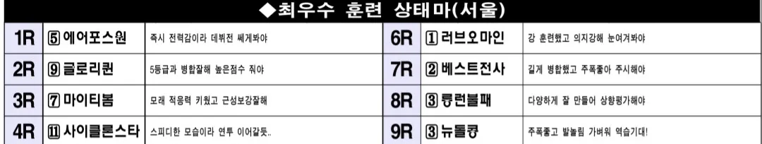 "6월 21일 토요서울 조교상태 양호마"