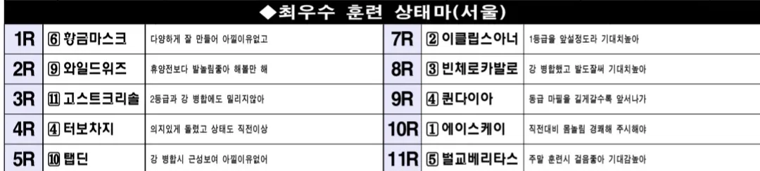 "5월 18일 일요서울 조교상태 양호마"