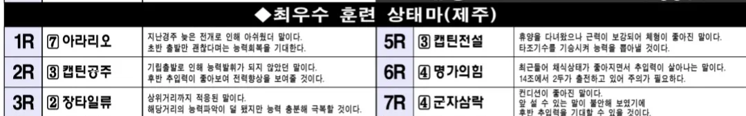 7월 19일 토요제주 조교상태 양호마