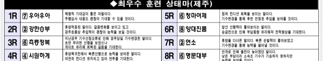 "5월 16일 금요제주 조교상태 양호마"