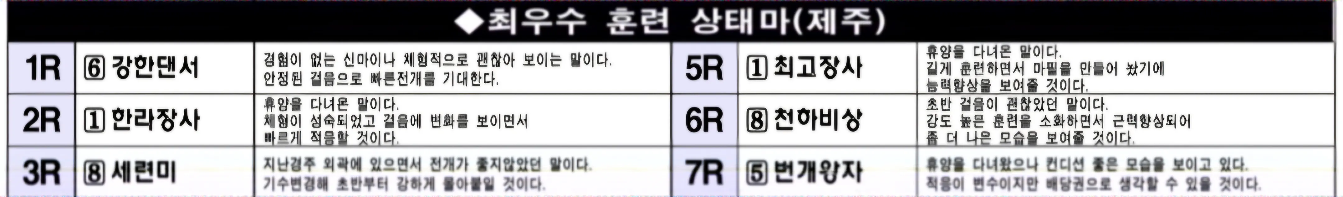 "5월 31일 토요제주 조교상태 양호마"