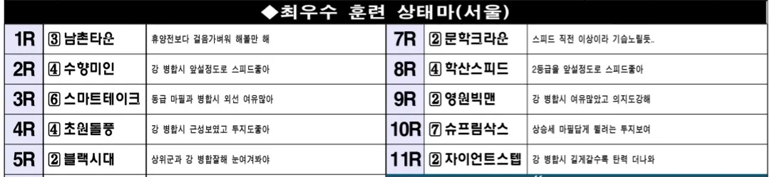 7월 6일 일요서울 조교상태 양호마
