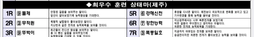"5월 17일 토요제주 조교상태 양호마"