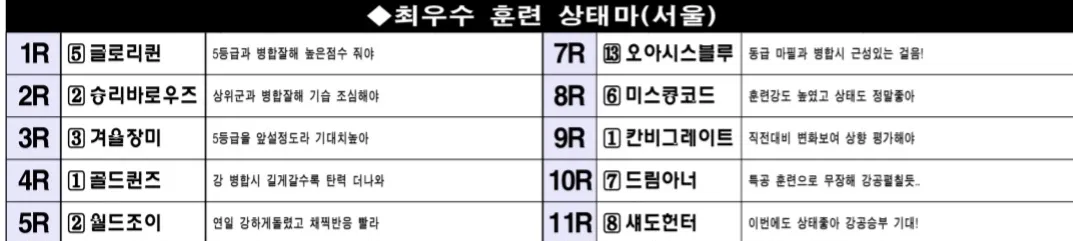 "5월 11일 일요서울 조교상태 양호마"