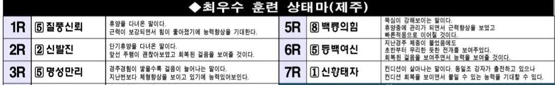 7월 5일 토요제주 조교상태 양호마