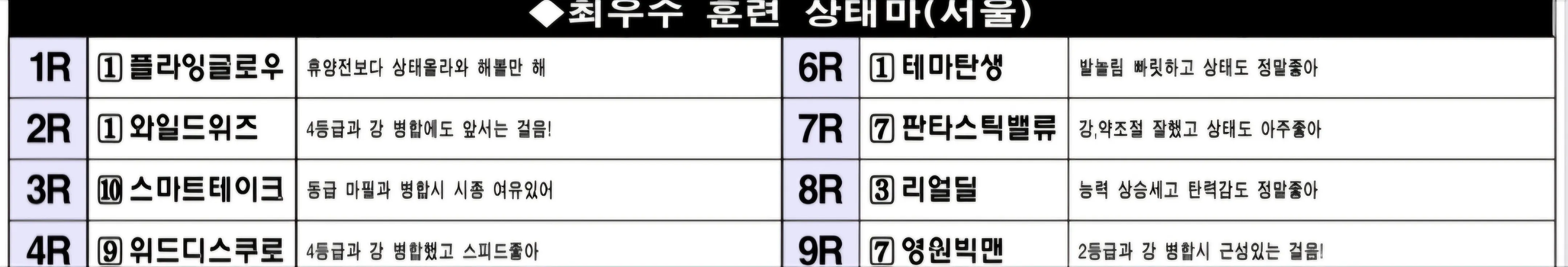 "6월 8일 일요서울 조교상태 양호마"